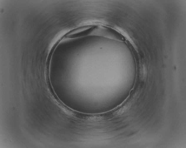 X0000073701277200608171104