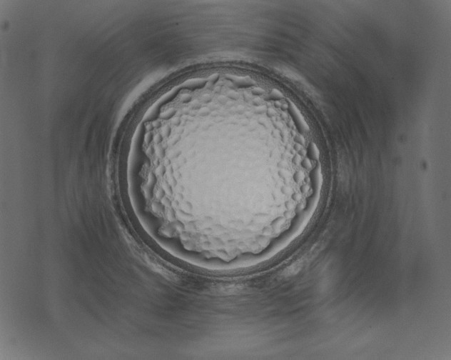 X0000073701278200608171104