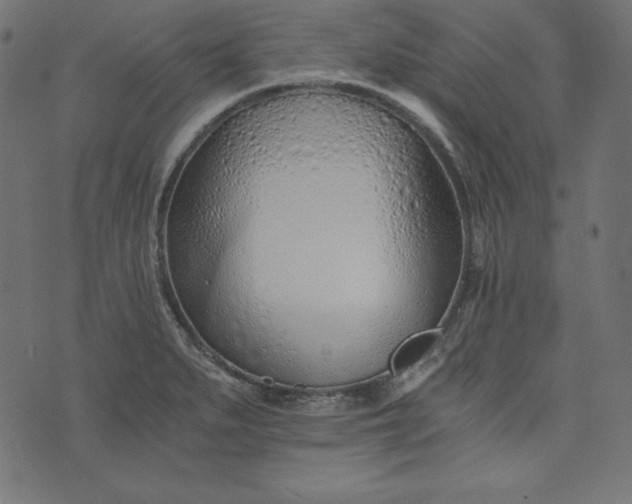 X0000073701279200608171104