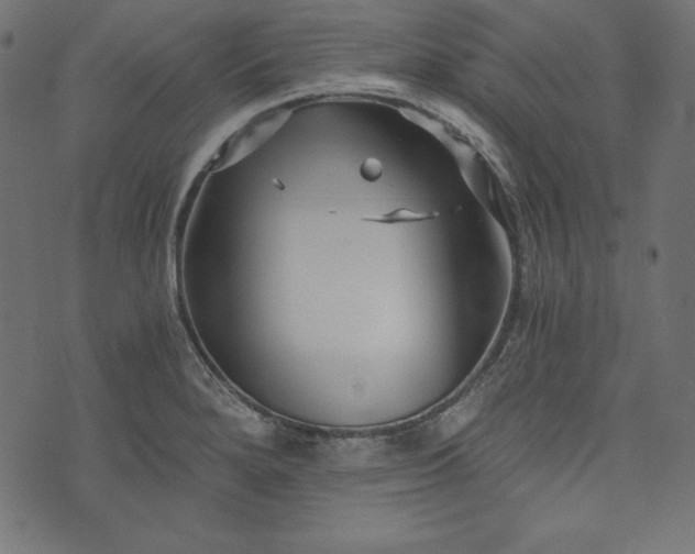 X0000073701280200608171104