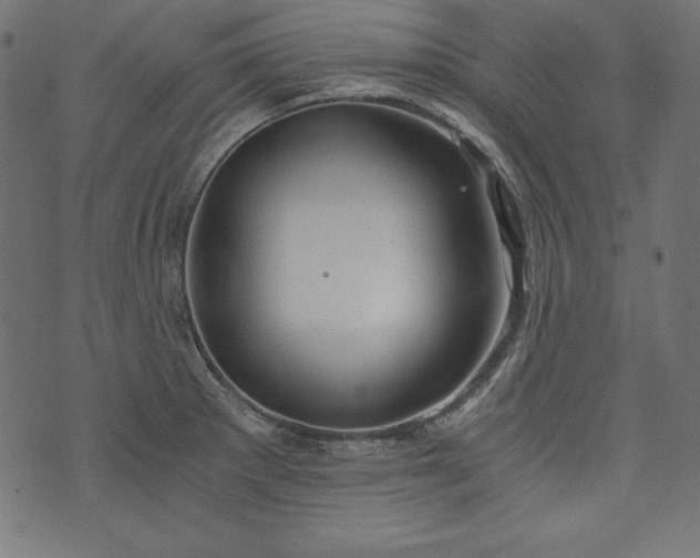 X0000073701281200608171104