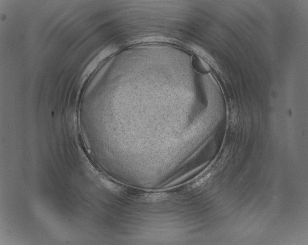 X0000073701282200608171104