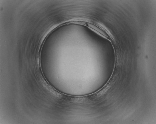 X0000073701284200608171104