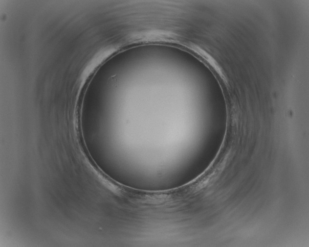 X0000073701285200608171104