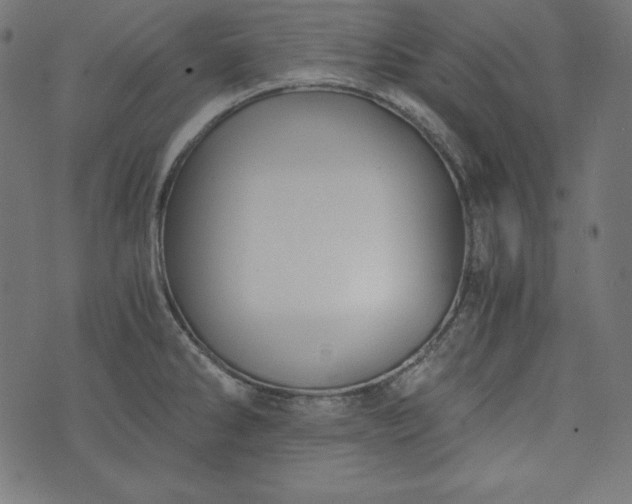 X0000073701286200608171104