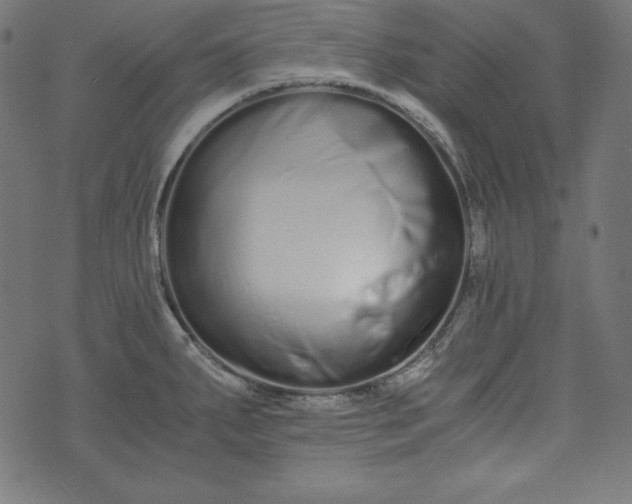 X0000073701287200608171104