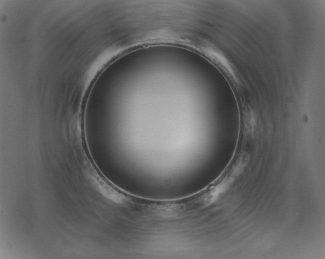 X0000073701288200608171104