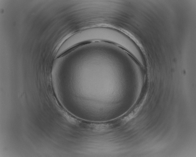 X0000073701289200608171103