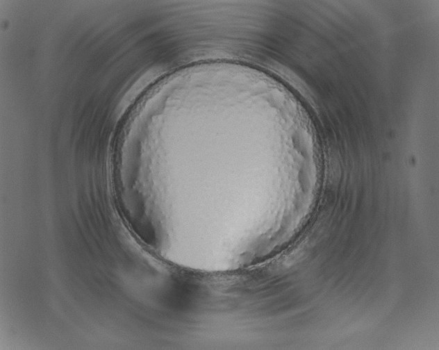 X0000073701290200608171103