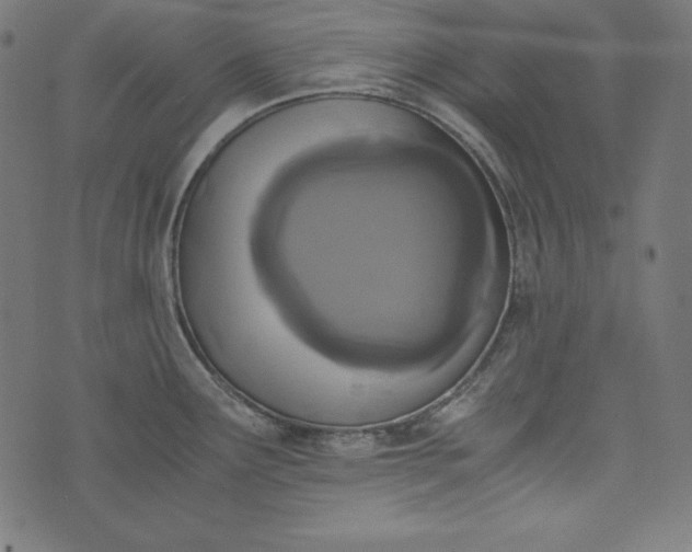 X0000073701291200608171103