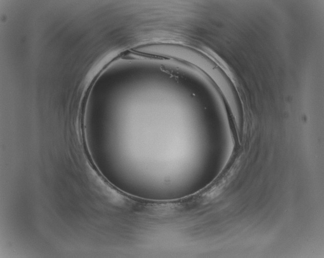 X0000073701293200608171103