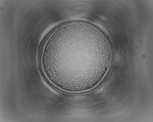 X0000073701294200608171103