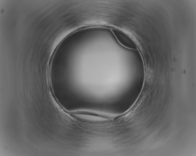 X0000073701295200608171103