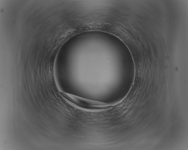 X0000073701298200608171103