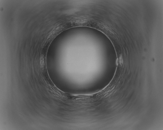 X0000073701299200608171103