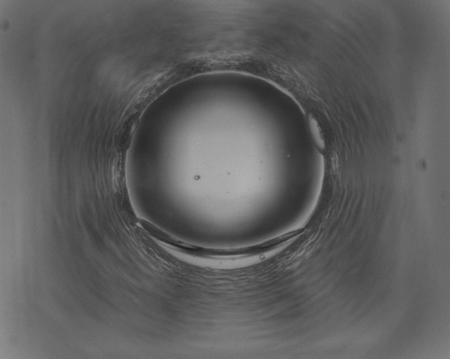 X0000073701300200608171103