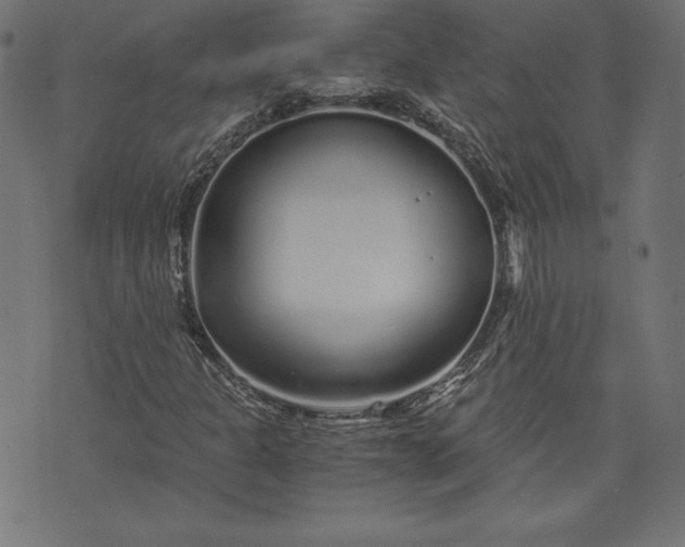 X0000073701301200608171103