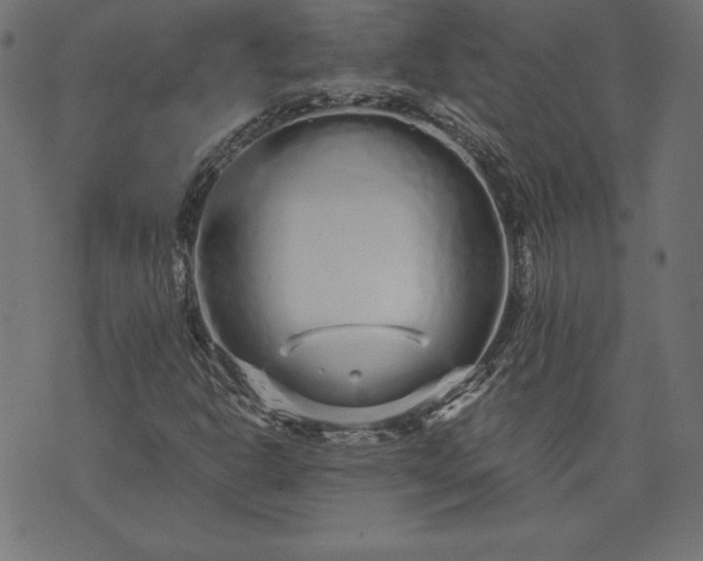 X0000073701302200608171103