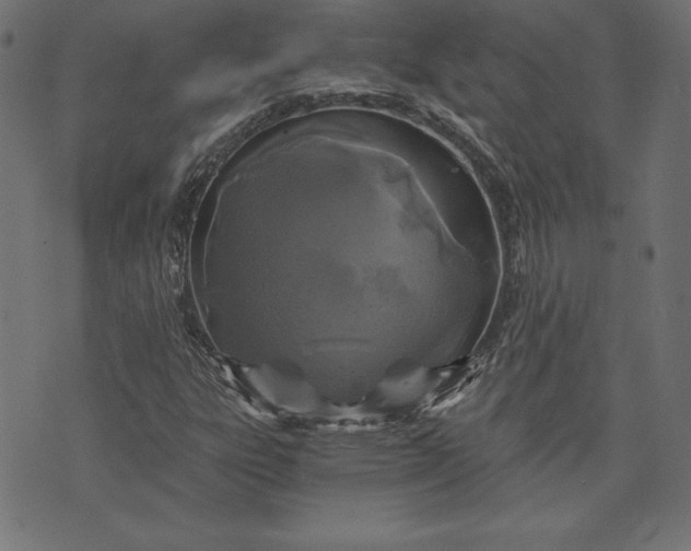 X0000073701303200608171103