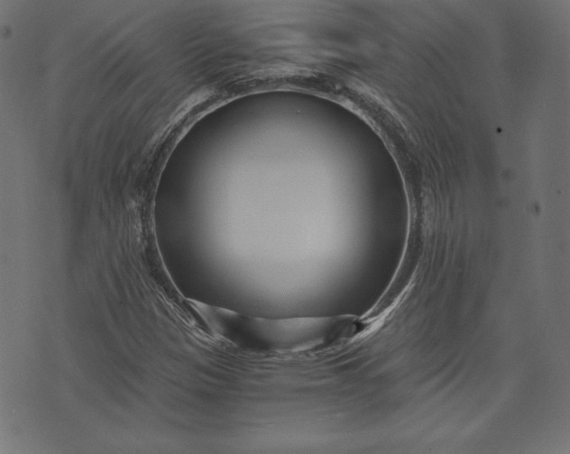 X0000073701305200608171103