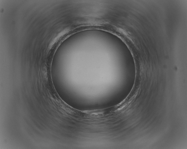 X0000073701307200608171103