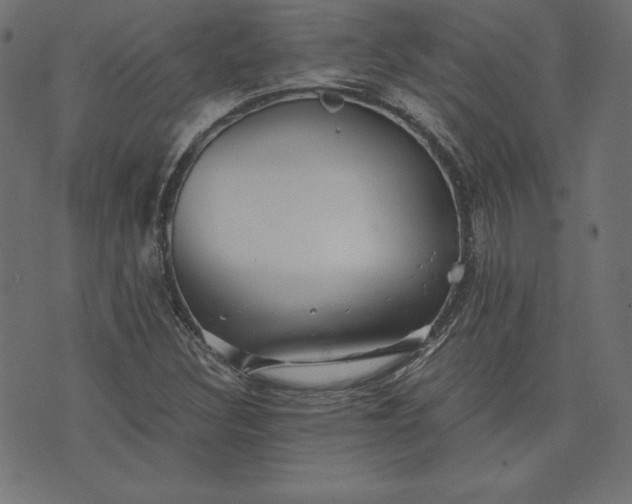 X0000073701308200608171103