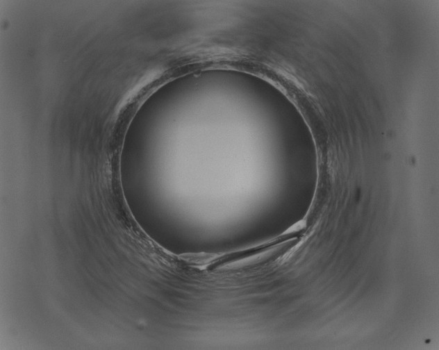 X0000073701309200608171103