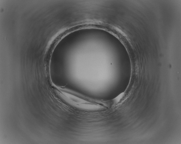 X0000073701310200608171103