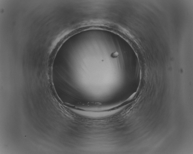 X0000073701312200608171103