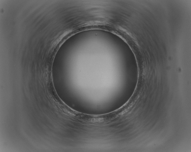 X0000073701313200608171103