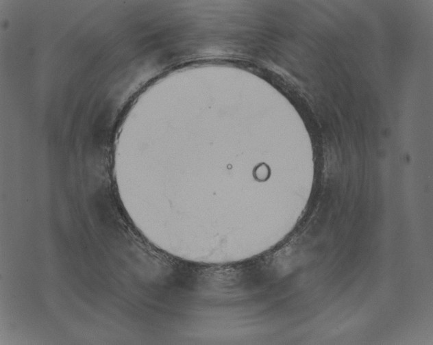 X0000073701314200608171103