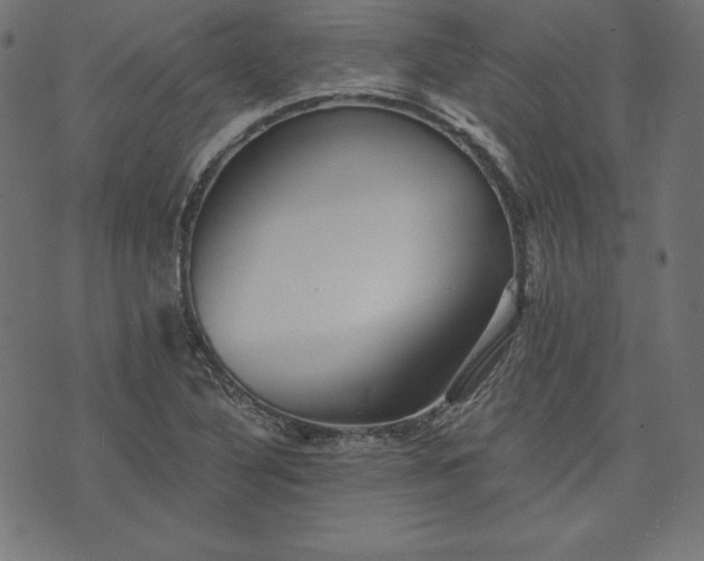 X0000073701316200608171103