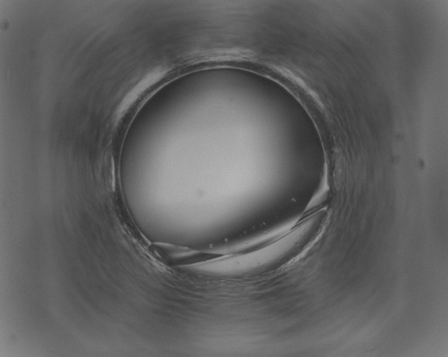 X0000073701317200608171103