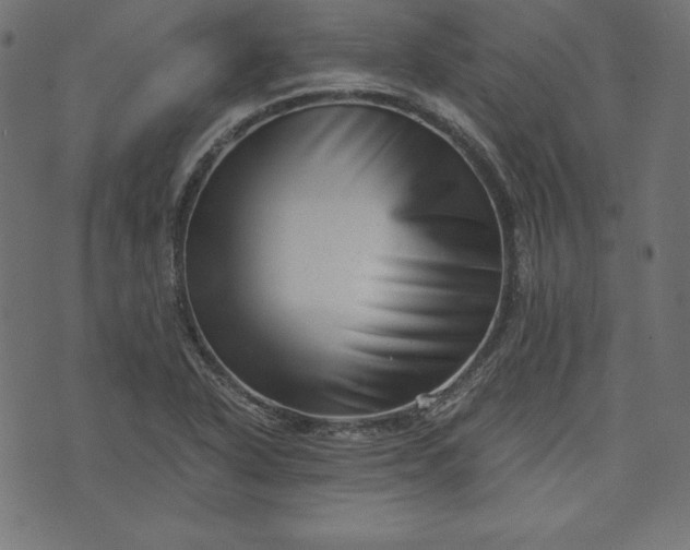 X0000073701318200608171103