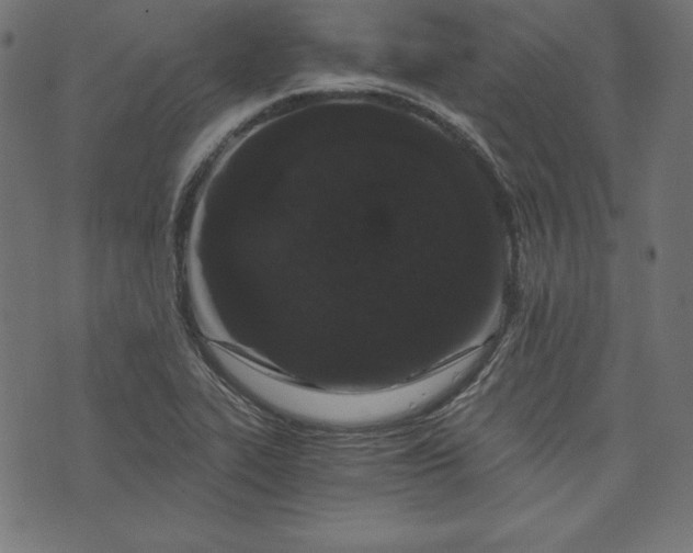 X0000073701319200608171103