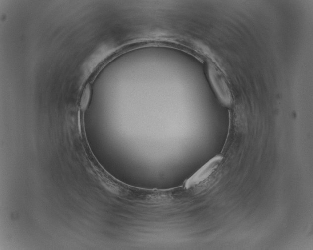 X0000073701320200608171103