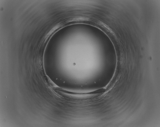 X0000073701321200608171103