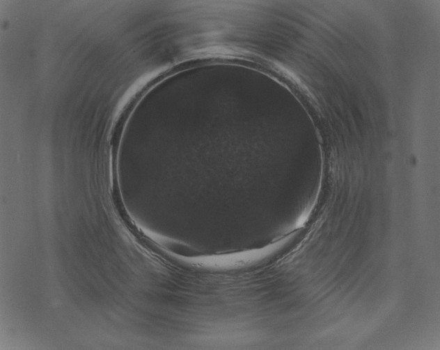 X0000073701323200608171103