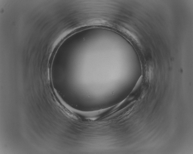 X0000073701324200608171103