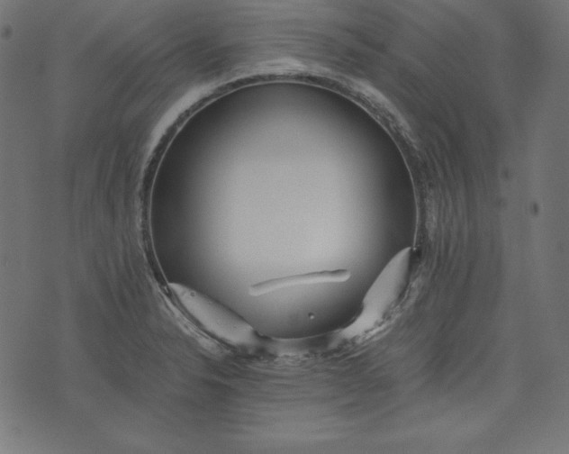 X0000073701326200608171103