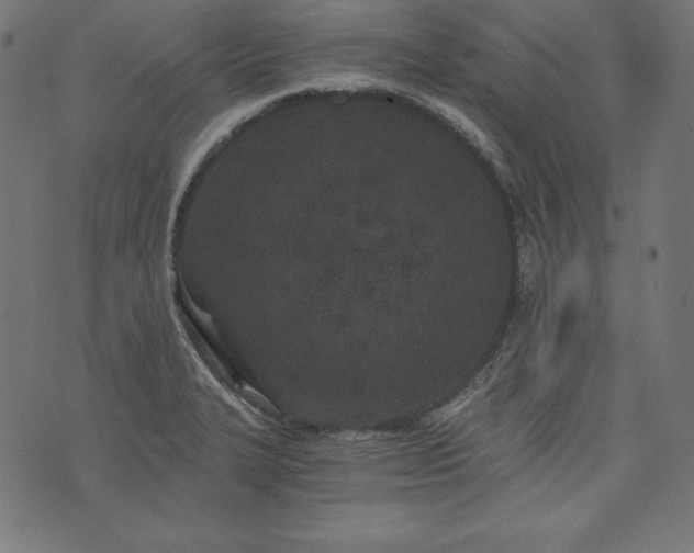 X0000073701327200608171103