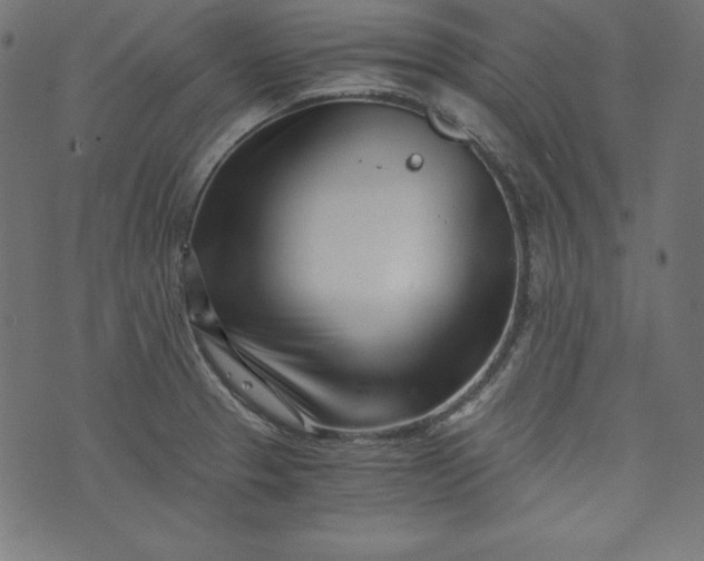 X0000073701329200608171103