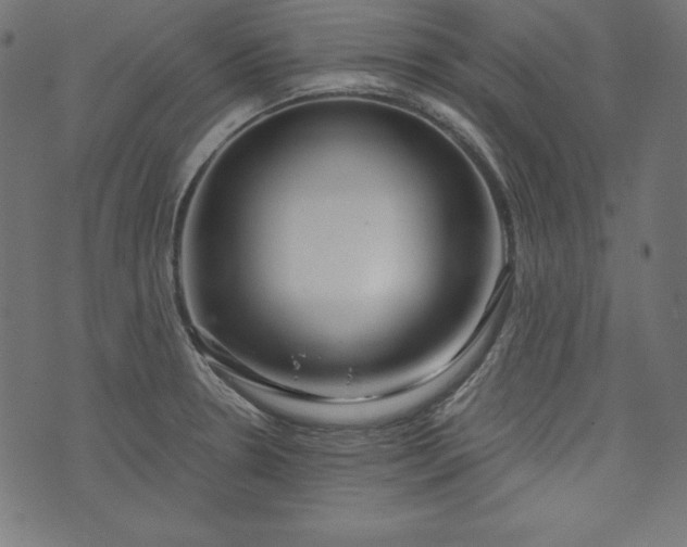 X0000073701330200608171103