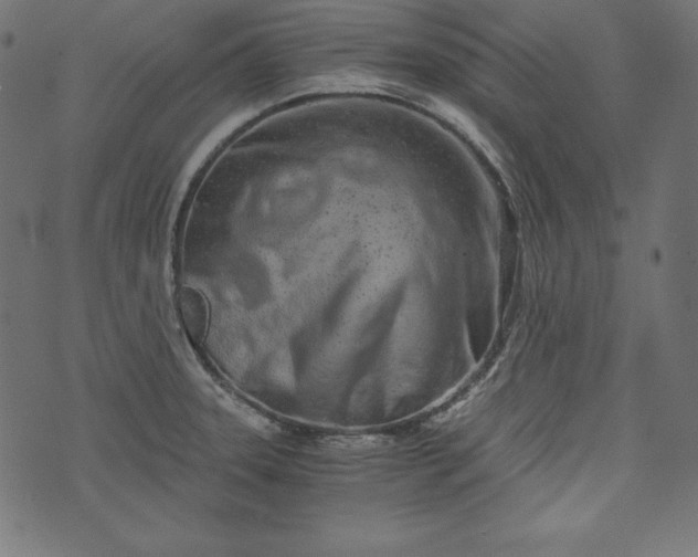 X0000073701331200608171103