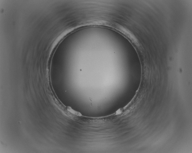 X0000073701332200608171103