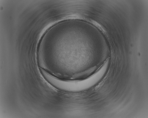 X0000073701334200608171103