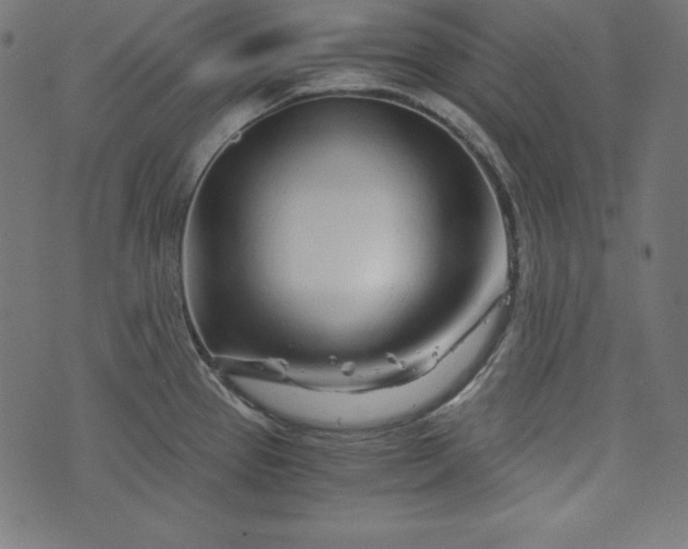 X0000073701337200608171103