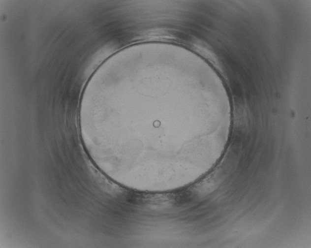 X0000073701338200608171103