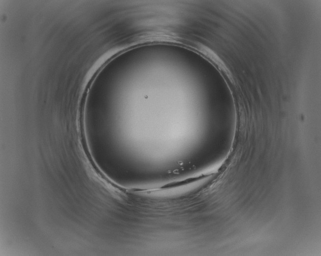 X0000073701339200608171103