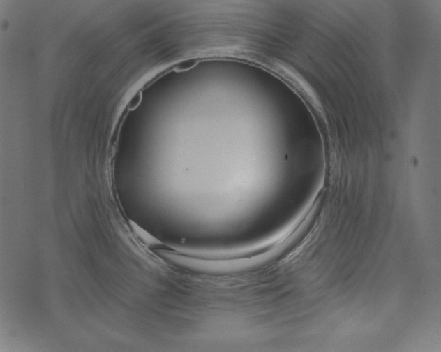 X0000073701340200608171103